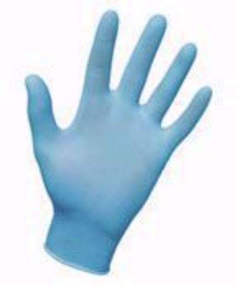 Disposable Nitrile Gloves - Large